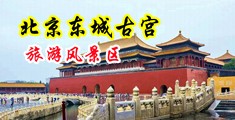 艹逼视频欧美激情舔中国北京-东城古宫旅游风景区